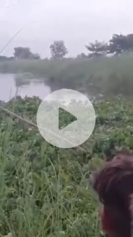 बीसलपुर: सिद्धनगर गांव में तालाब में अज्ञात युवक की डेड बॉडी मिलने से मचा हड़कंप