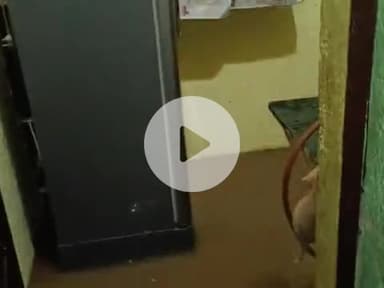 #रक्सा में आयी बाढ़ घरों में आया पानी