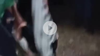 सीतामऊ: गांव चाहखेड़ी 8 लाइन पर कार नाले में गिरी, हादसे में दो की मौत और तीन घायल