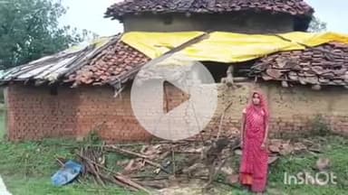 ब्यौहारी: ब्यौहारी के गोदावल वन क्षेत्र में जंगली हाथी का तांडव, आधा दर्जन से अधिक घर क्षतिग्रस्त