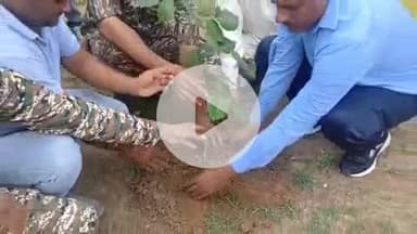 अजमेर: जी सी 1 सीआरपीएफ अजमेर के द्वारा सरकारी स्कूल के खेल मैदान लाडपुरा  में वृक्षारोपण का कार्यक्रम आयोजित किया गया