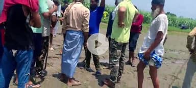 पूरनपुर: शेरपुर कला के गांव नजदीक पहुंची बाघिन दहशत में ग्रामीण