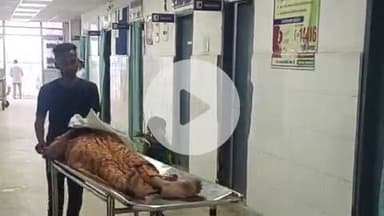 भभुआ: देवहलिया गांव में एक विवाहिता को उसके ससुराल वालों ने मारपीट कर किया घायल, सदर में इलाज जारी