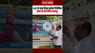 Viral Video: LoC के पास दिखा दुर्लभ Pangolin,  सेना ने ऐसे किया रेस्क्यू! #shorts #indiaarmy