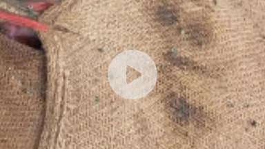 गोपद बनास: ग्राम ताल में नदी किनारे बोरी में मिली अज्ञात लाश, मामले की जांच में जुटी पुलिस