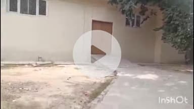 देेेवरिया: सरौरा के पास दिव्यांग आश्रम में 3 दिन पहले हुई दिव्यांग युवक की मौत, पहचान न होने पर पुलिस ने कराया शव का PM