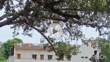 राजसमंद: कांकरोली थाना क्षेत्र में एक युवक पर दिनदहाड़े हुई चाकूबाजी, युवक हुआ घायल