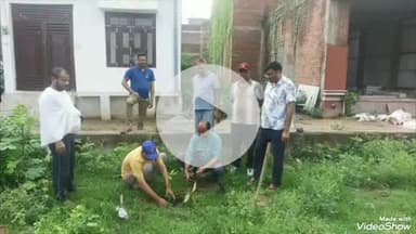 खबर औरैया से संवेदना ग्रुप के द्वारा किया गया पौधारोपण