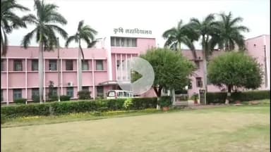 राऊ: इंदौर और मालवा में औसत से 26% कम बारिश, गर्मी और उमस से लोग परेशान, अब तक 6 इंच वर्षा हुई