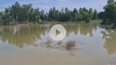 रामपुर: फतेहपुर गांव के तालाब में नहाने गए दो बच्चों की पानी में डूबने से हुई दर्दनाक मौत, एसपी ने घटना को लेकर जारी की एडवाइजरी