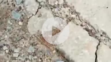 खूंटी: महादेव मंडा रोड का हाल बेहाल, गड्ढों में भरा बारिश का पानी बना जानलेवा कारण