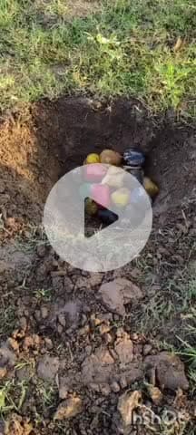 কালিয়াচক ৩: পারদেওনাপুরে উদ্ধার হওয়া ২২টি তাজা বোমা নিষ্ক্রিয় করলো সিআইডির বোম্ব ডিসপোজাল স্কোয়াড