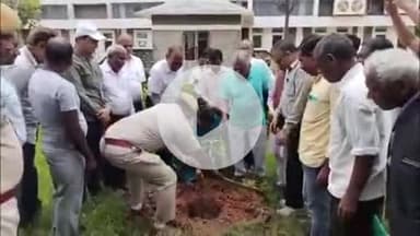 गुमला: वनटोली गांव में वन महोत्सव का हुआ आयोजन, वृक्षारोपण कर दिया पर्यावरण संरक्षण का संदेश