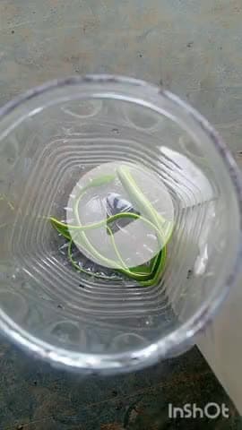 हिंगणघाट: हिंगणघाट शहरात जीवरक्षक फाउंडेशन कडून दोन निंमविषारी  दुर्मीळ सापांना जीवदान