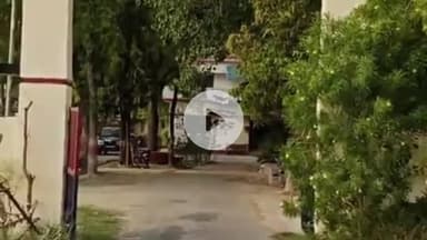 जयसिंहपुर: कैथवारा गांव के पास अज्ञात वाहन ने मोटरसाइकिल सवार को मारी जोरदार टक्कर, हुई मौत, पुलिस अग्रिम कार्रवाई में जुटी