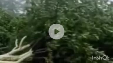 रोहड़ू: संयुक्त किसान मंच के संयोजक हरीश चौहान ने कहा- भूमिहीन छोटे मंझले बागवानों को संरक्षित करें वर्तमान सरकार