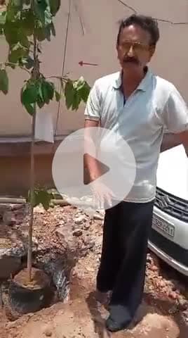 नगर को हरा भरा रखने तथा ग्राउंडवाटर रिचार्जिंग का अनूठा तरीका