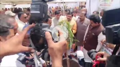 कनाड़िया: इंदौर: कांग्रेस नेता बीजेपी नेताओं को भेंट करेंगे पौधे, मंत्री कैलाश विजयवर्गीय ने की पौधारोपण की अपील