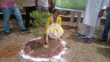 अमरोहा: स्मार्ट सिटी अमरोहा में हरियाली की सौगात, जोया मार्ग पर लगाए जाएंगे 1300 कनेर के पौधे, चैयरमैन व DM ने किया पौधारोपण