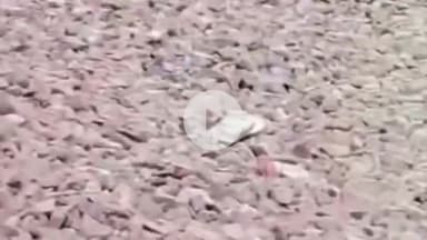 अमरोहा: अमरोहा रेलवे स्टेशन के पास ट्रेन की चपेट में आकर किशोर की हुई मौत, पहचान हुई