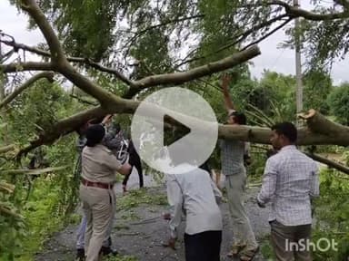 बल्देवगढ़: देवरदा के पास टीकमगढ़-छतरपुर मार्ग पर बारिश में पेड़ गिरा, आवागमन अवरुद्ध; मौके पर पहुंची पुलिस