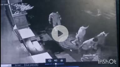 धार: धार के बंदी छोड़ मोहल्ले में बड़ी चोरी, सीसीटीवी में कैद हुई वारदात