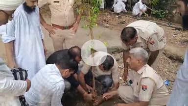 plantation GNRF kota .......