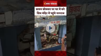 सावन सोमवार पर घर में बने शिव मंदिर में पहुंचे नागराज, शिवलिंग से लिपटा | #sawansomwar #snake
