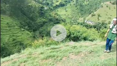 गंगोलीहाट: पाली गांव में गुलदार ने दिनदहाड़े युवक पर किया हमला