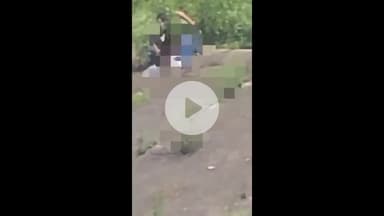 सुंदर नगर: सुंदरनगर के BSL जलाशय किनारे प्रेमी जोड़े की अश्लील हरकतों का वीडियो सोशल मीडिया पर वायरल, कार्रवाई की मांग