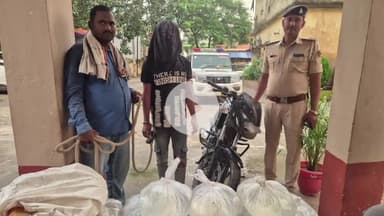 कुटुंबा: अंबा पुलिस ने दो अलग-अलग कार्रवाई में चोरी की बाइक के साथ 2 चोरों को गिरफ्तार किया, 100 लीटर शराब जब्त, मची हड़कंप