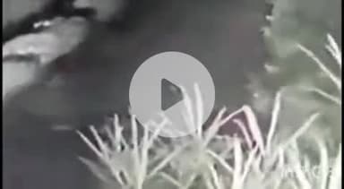 कुंडा: शकरदहा गांव में बाइक से आए चोरों ने महिंद्रा ट्रैक्टर किया चोरी, घटना CCTV में कैद