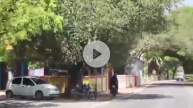 சாத்தான்குளம்: பன்னம்பாறை மாடத்தி அம்மன் கோவில் விலக்கு பகுதியில் பாழடைந்த நிலையில் பேருந்து நிறுத்தம்#localissue