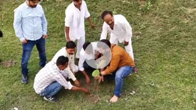 नवाबगंज: मझलेपुर में ए2जेड चैनल के संयोजन में पत्रकारों ने किया वृक्षारोपण, सूचना अधिकारी मुख्य अतिथि के रूप में रही मौजूद