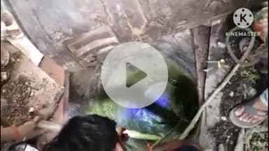 फिरोज़ाबाद: फ़िरोजशाह मकबरा के पास खुले पड़े कुएं में दो गाय गिरीं, नगर निगम की टीम ने एक गाय को सकुशल निकाला व एक गाय की हुई मौत