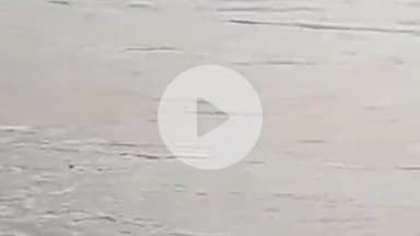 इंदरगढ़: इंदरगढ़ तहसील के पाली सुनारी खेरोना घाट के पास पहुंचा सिंध नदी का पानी, प्रशासन ने कराई मुनादी