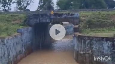 गुना: खजूरी गांव: रेलवे अंडर ब्रिज में पानी भरने से चार गांव के लोग परेशान, खतरे में डालकर रेल पटरी पार करने को मजबूर