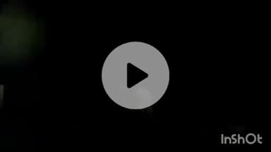 ब्यौहारी: ब्यौहारी के बन बिहार के पास सड़क किनारे दिखा हाथी, शहडोल-रीवा रोड बंद