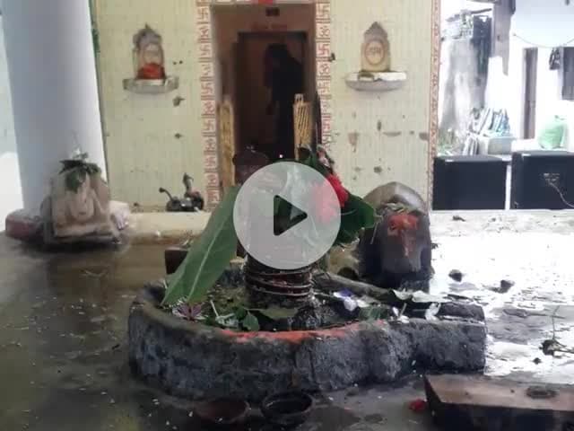 पुराना कॉलेज रोड शंकर घाट धोबी पारा चाम्पा मे प्रथम सावन सोमवार को पूजा अर्चना
#Bhushan shriwas