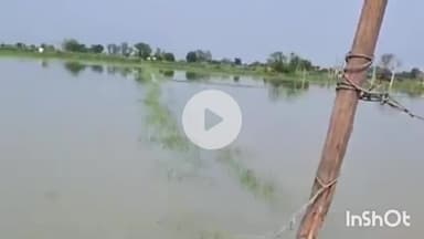 पलवल: मढ़नाका गांव के किसान काट रहे हैं सरकारी वादों की फसल, 15 साल से भूखा मरने की कगार पर किसान #jansamasya