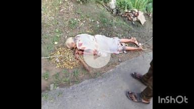 उतरौला: रेहरा में हाई टेंशन तार की चपेट में आने से एक महिला की हुई मौत