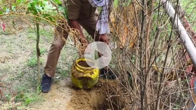 कादीपुर: आबकारी विभाग की टीम ने कादीपुर क्षेत्र में छापेमारी कर 28 लीटर अवैध कच्ची शराब किया बरामद