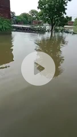 #pali rajsthan ke Vikash nager me aaya Pani# kisi bi parkar ki koy madat nhi #karykarta bete h khamos