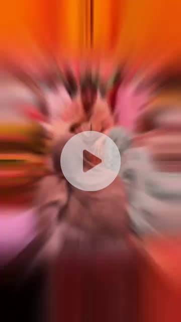 नजफगढ़: गांव दिचाऊं कलां में जनसेवा की दिशा में एक सशक्त कदम  #NeelamKrishanPahalwan #DelhiDevelopment #MLAonduty