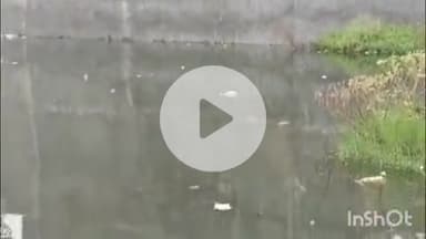 बारां: न्यू नागेश्वर धाम समिति के नेतृत्व में कोटा रोड कॉलोनी वासियों ने समस्या निराकरण के लिए एडीएम को ज्ञापन दिया