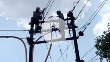 मांगरौल: मांगरोल कस्बे में बुधवार को फीडर संख्या 2 पर मेंटिनेंस कार्य के चलते सुबह 10 से दोपहर 2 बजे तक बिजली रहेगी बंद