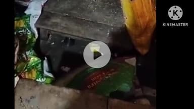 थरथरी: गौरी गांव में अज्ञात चोरों ने जेनरल स्टोर से फ्रिज सहित पचास हजार रुपये की संपत्ति चुराई