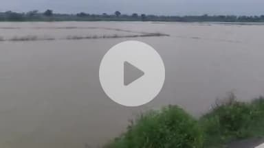 घोसी: बड़की बभनपुरा में नहर से अचानक पानी आने से धान की फसल डूबी