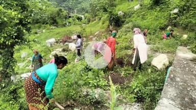 भटवाड़ी: भैलूडा गांव में हरेला पर्व की पूर्व तैयारियों के तहत महिलाओं ने वृक्षारोपण के लिए किए गड्ढे