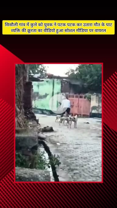 मेरठ: सिसौली गांव में एक शख्स ने सड़क पर कुत्ते को पटक-पटक कर उतारा मौत के घाट, वीडियो हुआ वायरल